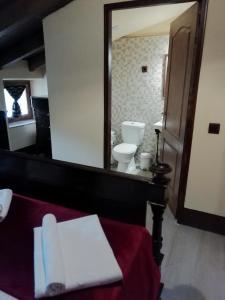 Hostal Rural Mas Blanc في San Martín de Centellas: حمام مع مرحاض ومرآة كبيرة