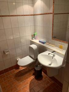 Koupelna v ubytování Hotel Druzhba