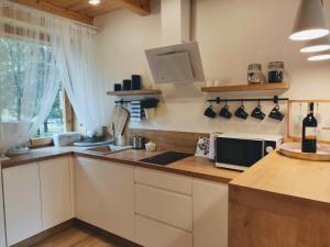 eine Küche mit einer Theke mit einer Spüle und einer Mikrowelle in der Unterkunft Apartament Borowikowe Zacisze in Falsztyn