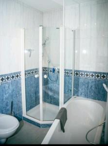 a bathroom with a shower and a tub and a toilet at Ferienwohnung "Zum Köpfel"- Wiesenthal in der Rhön in Wiesenthal