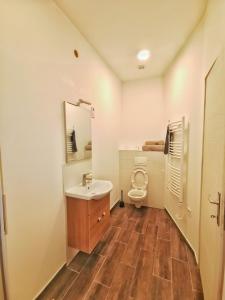 a bathroom with a white sink and a toilet at Apartman Poirot in Érd