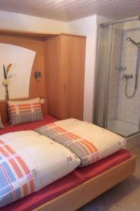 薩斯阿爾馬格爾的住宿－Apartment Antrona by Interhome，一间卧室设有一张带淋浴和浴缸的床。