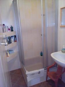 ein Bad mit einer Dusche und einem Waschbecken in der Unterkunft Ferienwohnung Fabricio in Dolní Lánov