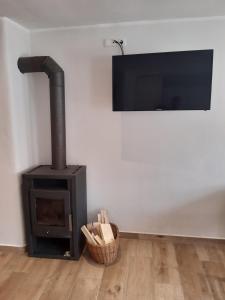 a fireplace with a flat screen tv and a stove at Ferienwohnung Weinkutscher in Obermixnitz