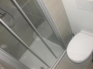 y baño con aseo y ducha. en Studio Zeezicht De Sloep Koksijde, en Koksijde