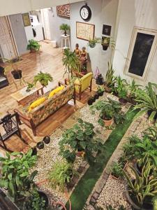 two people sitting in a living room with plants at Manggolo Homestay Syariah in Yogyakarta
