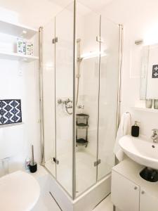 a bathroom with a shower and a sink at Dream Green Apartment 'Frida' in Gladenbach