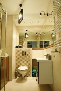 a bathroom with a toilet and a sink and a mirror at Apartamenty Rebergen w kompleksie Apartamenty Piano in Świeradów-Zdrój