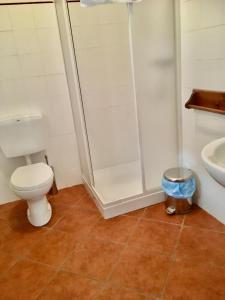 a bathroom with a shower and a toilet and a sink at Affittacamere “Del Ponte” in Cartignano