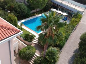 an overhead view of a swimming pool with a palm tree at Villa Keti apartments Pool & Wellness in Splitska
