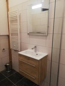 a bathroom with a sink and a mirror at Vakantiehuis Idylle aan Zee, privé SAUNA in Sint Maartensvlotbrug