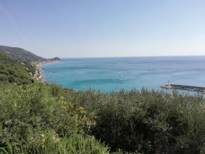 Φυσικό τοπίο κοντά σε αυτό το διαμέρισμα