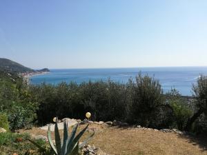 Φυσικό τοπίο κοντά σε αυτό το διαμέρισμα