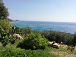 Φυσικό τοπίο κοντά σε αυτό το διαμέρισμα