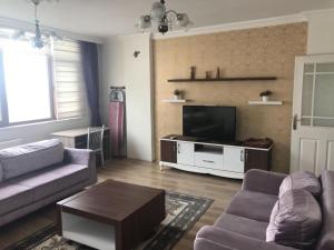 - un salon avec un canapé et une télévision dans l'établissement Konaklar Apart Premium, à Trabzon