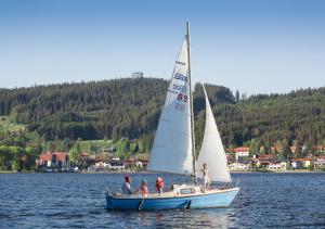 a group of people on a sail boat in the water at Holiday Villa Lake Lipno in Lipno nad Vltavou