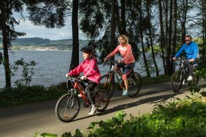Hostia v ubytovaní Holiday Villa Lake Lipno