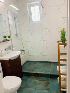 a bathroom with a shower and a toilet and a sink at Niran Apartament in Oradea