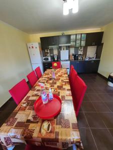 Posezení v ubytování Casa Monika Ciocarliei + 37 fotografií