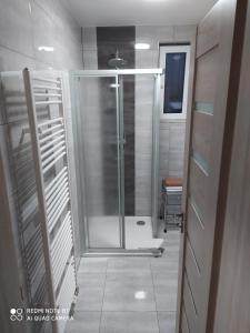 Koupelna v ubytování Apartmán u Davida