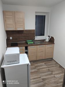 Kuchyň nebo kuchyňský kout v ubytování Apartmán u Davida