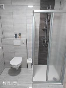 Koupelna v ubytování Apartmán u Davida