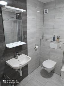 Koupelna v ubytování Apartmán u Davida
