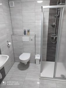Koupelna v ubytování Apartmán u Davida