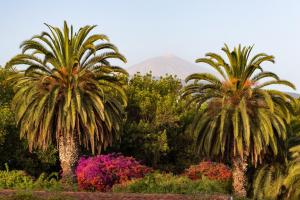Vonkajšia záhrada v ubytovaní Apartment with Mount Teide and sea views