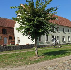 uma pessoa a montar um cavalo em frente a um edifício em Ferienwohnung Urlaub mit Pferd, Hof Müggenburg em Stüdenitz