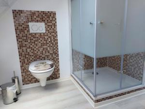 La salle de bains est pourvue de toilettes et d'une douche en verre. dans l'établissement Ferienwohnung Urlaub mit Pferd, Hof Müggenburg, à Stüdenitz