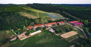 Příroda nedaleko bed and breakfast