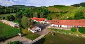 Příroda nedaleko bed and breakfast