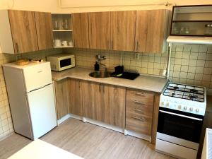 Kuhinja ili čajna kuhinja u objektu Apartmán Luční