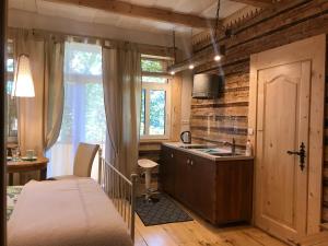 una cucina con letto e lavandino in una camera di Willa Jasna Apartamenty centrum Zakopane a Zakopane