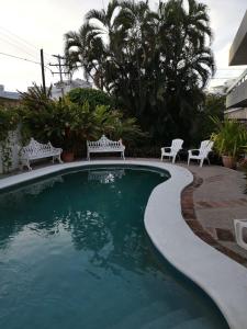 una piscina con 2 sillas blancas y árboles en Departamentos con Alberca en Mazatlán