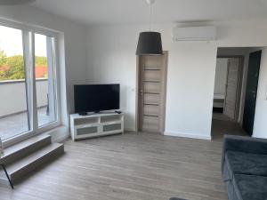Televízia a/alebo spoločenská miestnosť v ubytovaní Aranyhíd Apartman Balatonalmádi