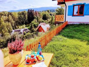 Ogród w obiekcie Kolorowe Karkonosze