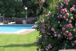 The swimming pool at or close to Agriturismo Corte Bebbi