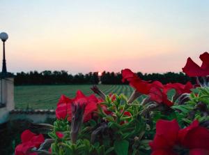 A garden outside Agriturismo Corte Bebbi