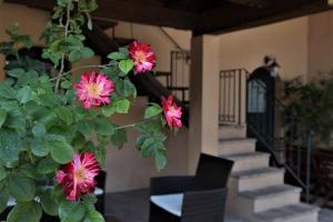 A garden outside Agriturismo Corte Bebbi