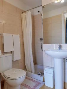 La salle de bains est pourvue de toilettes, d'un lavabo et d'une douche. dans l'établissement Residencial Do Vale, à Funchal
