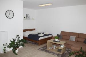 - un salon avec un lit et un canapé dans l'établissement Vadvirág Apartman, à Veszprém