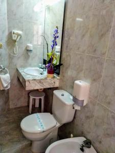 La salle de bains est pourvue de toilettes et d'un lavabo. dans l'établissement Felipe II, à Peñíscola