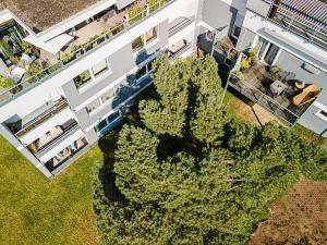 an overhead view of a tree in front of a building at Ferienwohnungen Riese - Sonnenstrahl in Arnsberg