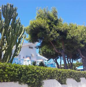 una casa blanca con árboles delante de ella en Nido Colorato B&B, en Fontane Bianche