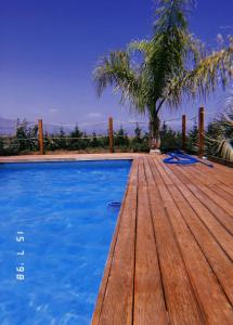 une piscine avec une terrasse en bois et un palmier dans l'établissement Isola del sole, Appartamenti con piscina, à Balestrate