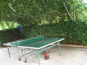 a ping pong table with a blue ball on it at Haus Milan AP 1 in Fažana