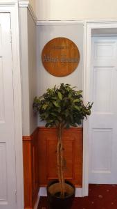 Eine Pflanze in einem Topf neben einer Tür mit einem Schild in der Unterkunft Atlas Guest House in Edinburgh