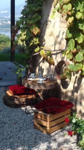A garden outside b&b cascina la cinciallegra